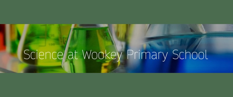 Science at Wookey Primary School