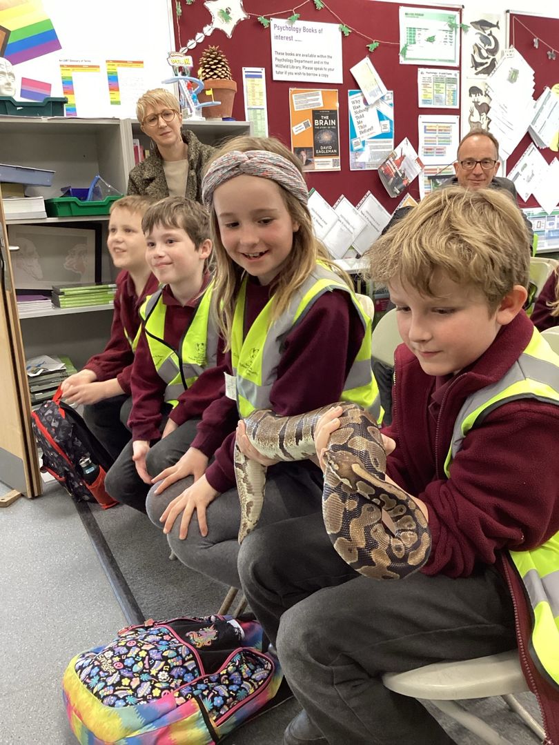 Children holding a snake on a visit to Millfield School