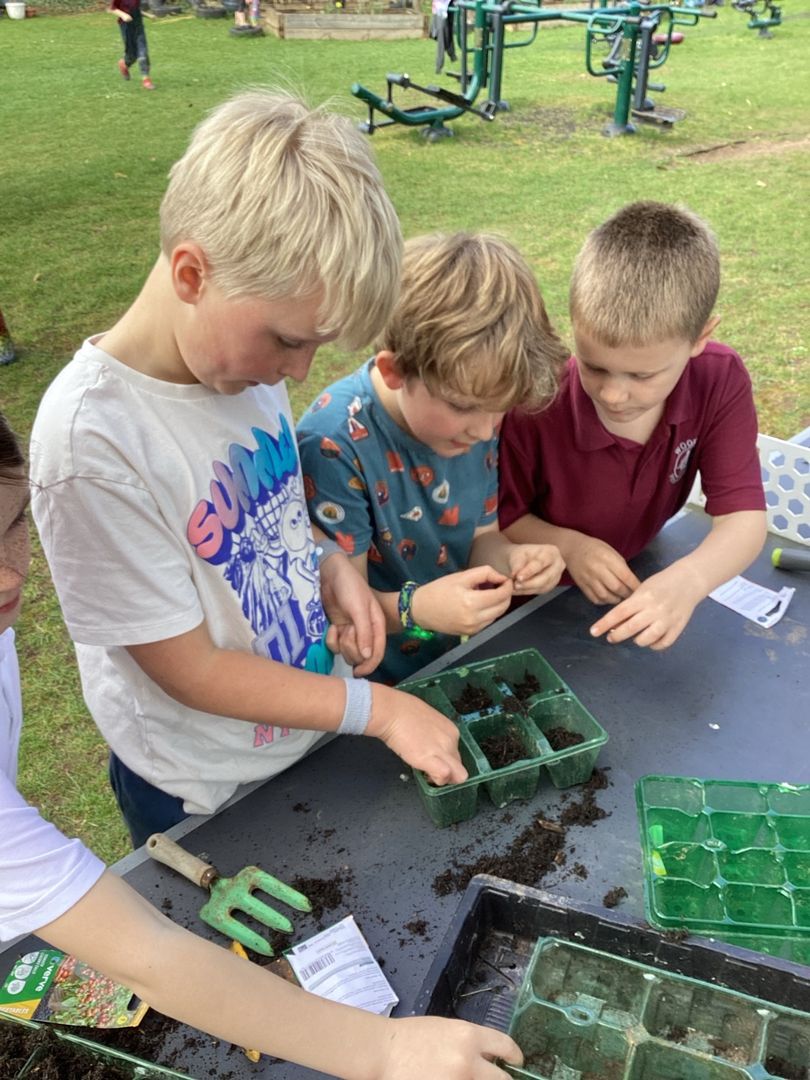 Children planting seeds together in the school garden