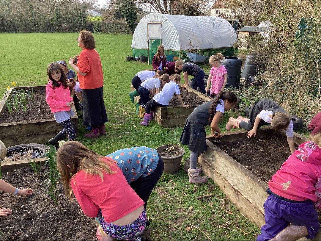 Children and staff gardening together in the school allotment