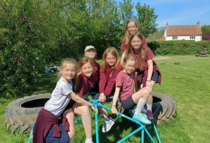 Children on a climbing frame on the school field